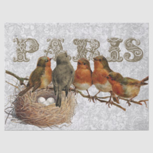 European Robin Birds Nest Paris Decoupage Vintage Tissue Paper