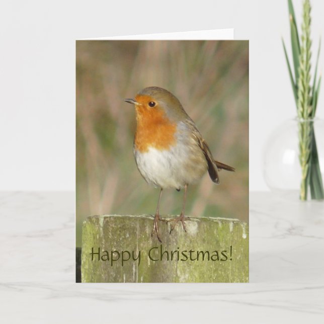 European Robin Christmas Card (Front)