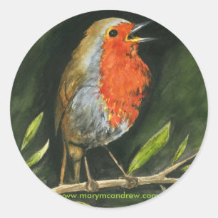 European Robin - England Bird Stickers