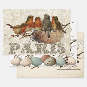 European Robin French Script Nest Egg Postmark Set Wrapping Paper Sheet