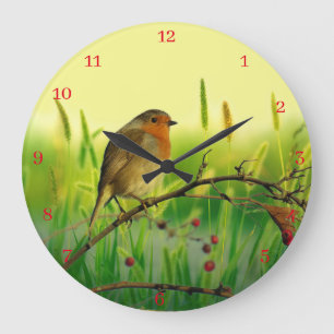 European Robin Large Clock