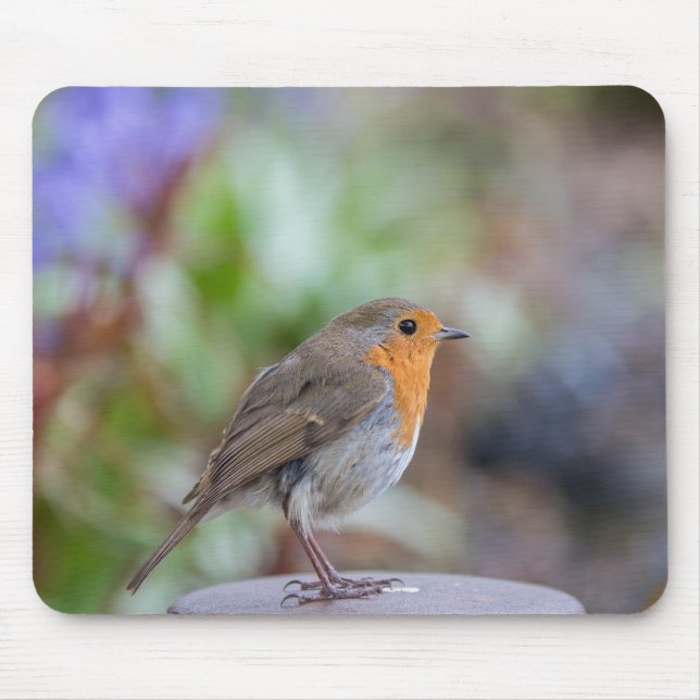 European Robin mouse mat (Front)