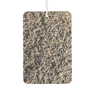 European spruce bark beetle car air freshener