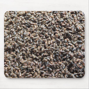 European spruce bark beetle mouse pad