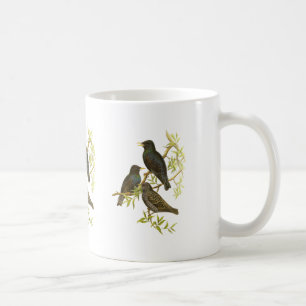 European Starling Coffee Mug