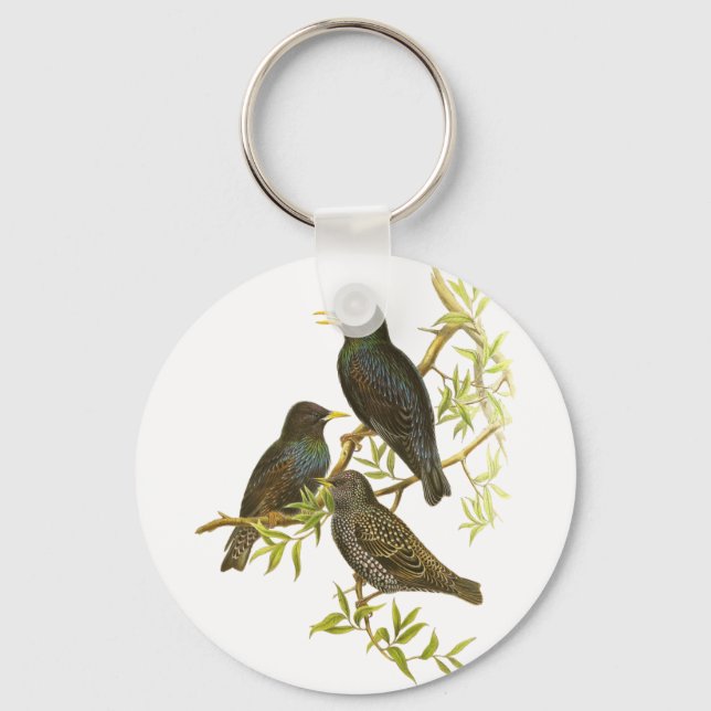 European Starling Key Ring (Front)