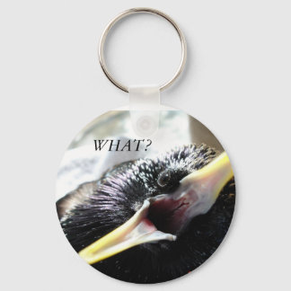 European Starling Keychain