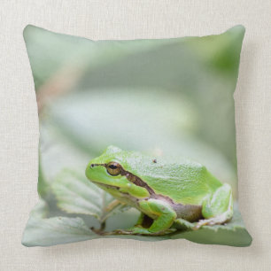 European tree frog in green throw pillow