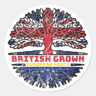 European Union EU Europe Uk United Kingdom British Classic Round Sticker