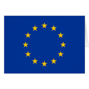 European Union Flag