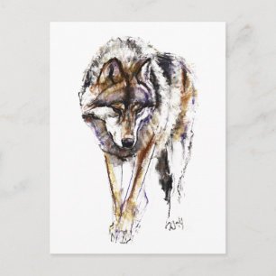 European Wolf Postcard
