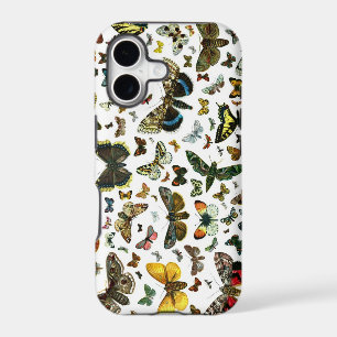 Europe's Best-Known Butterflies and Moths Collage