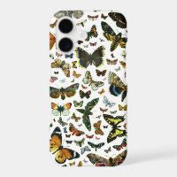 Europe's Best-Known Butterflies and Moths Collage