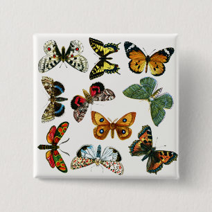 Europe's Best-Known Butterflies and Moths Collage 15 Cm Square Badge