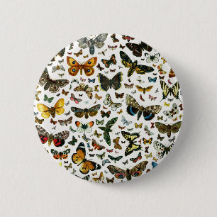 Europe's Best-Known Butterflies and Moths Collage 6 Cm Round Badge