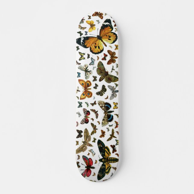 Europe's Best-Known Butterflies and Moths Collage Skateboard (Front)