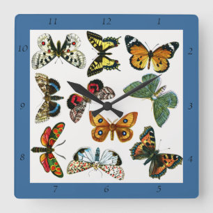 Europe's Best-Known Butterflies and Moths Collage Square Wall Clock