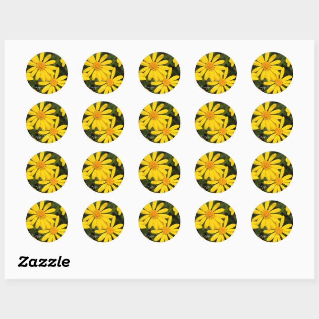 Euryops Daisy [Round Seal] Classic Round Sticker (Sheet)