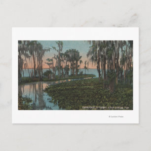 Eustis, Florida - View of Swampy Canal Postcard