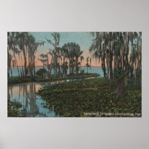 Eustis, Florida - View of Swampy Canal Poster