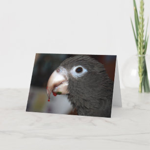 Eve 2 card