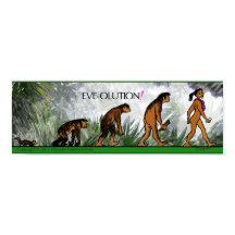 EVE-OLUTION POSTER