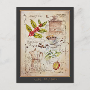 EVE Painted Coffee Botanical Illustration Postcard