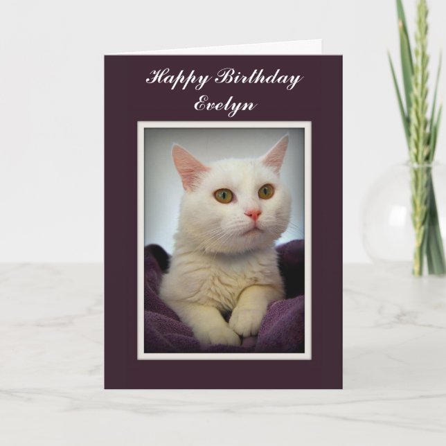 Evelyn Happy Birthday White Cat Card (Front)