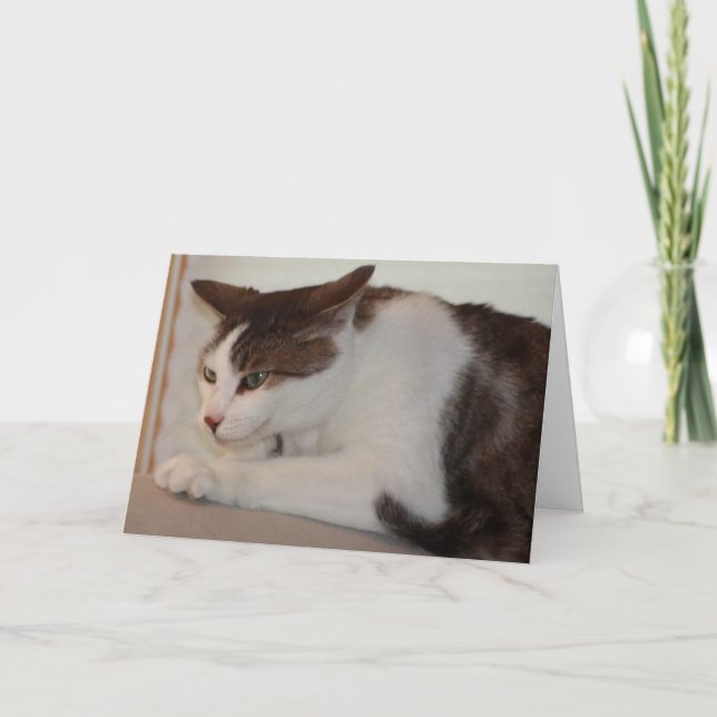 Even a Good Cat can have a Bad Day! Card (Front)