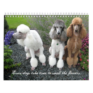 Even dogs take time to smell the flowers. calendar