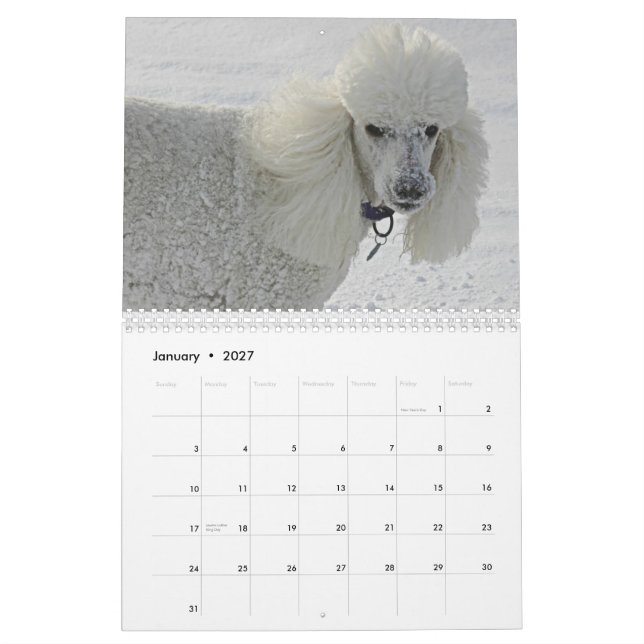 Even dogs take time to smell the flowers. calendar (Jan 2027)