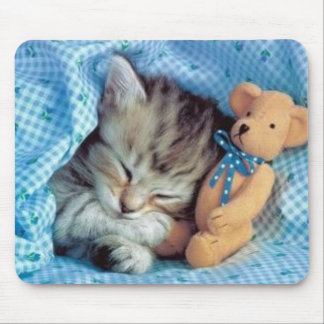 Even Kittens Love Teddybears Mouse Pad