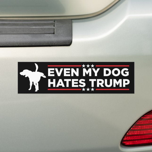 Even My Dog Hates Trump Anti-Trump Bumper Sticker (On Car)