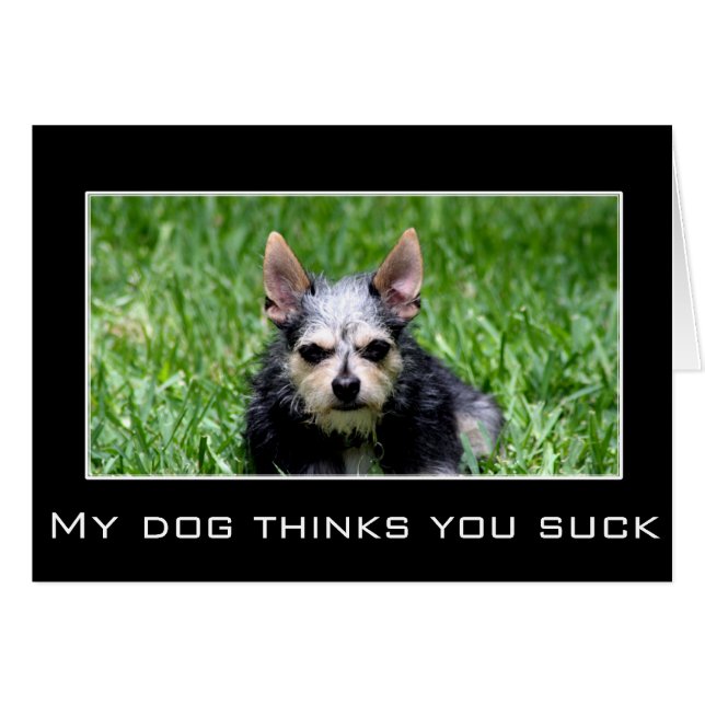 Even my dog knows you suck (Front Horizontal)