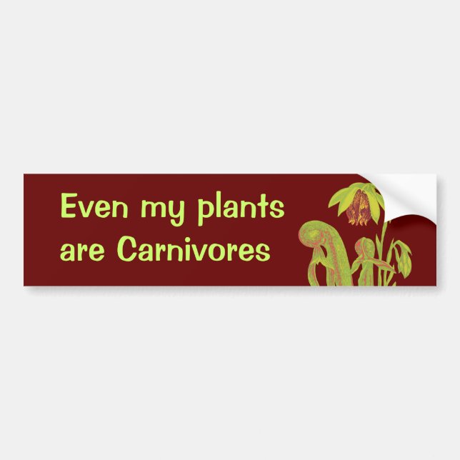 Even my plants are Carnivores Bumper Sticker (Front)