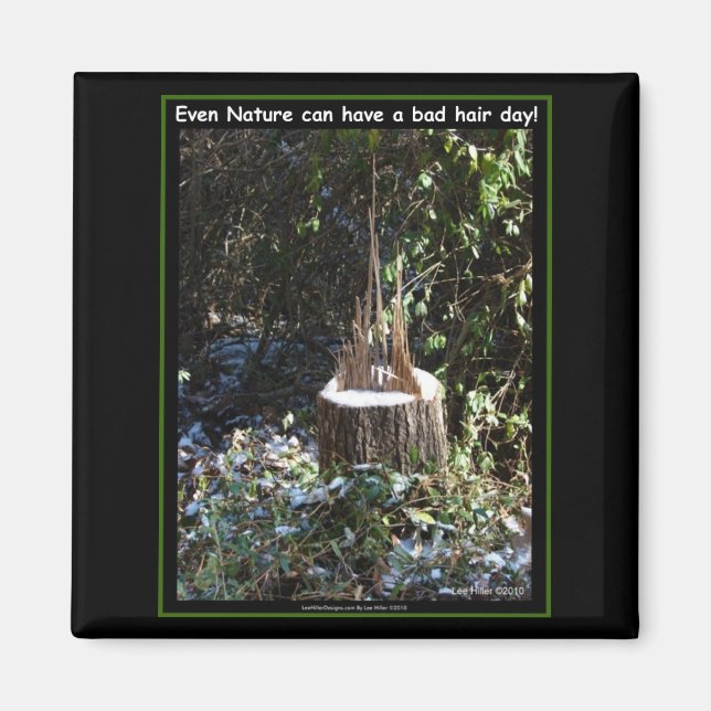 Even Nature Can Have A Bad Hair Day! Gifts Apparel Magnet (Front)
