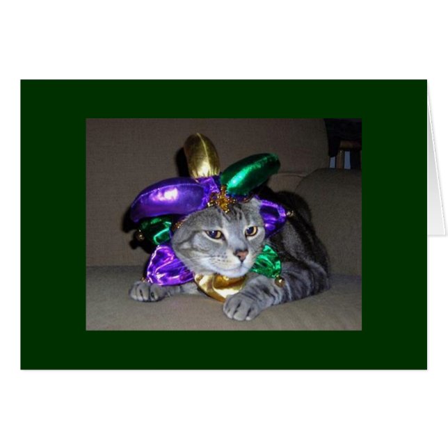 EVEN THE CAT IS CELEBRATING FOR "YOU" ARE "5O" (Front Horizontal)