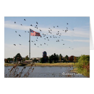 Even the ducks love the USA