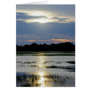 Evening At Folly River