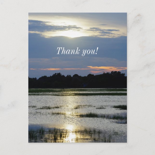 Evening At Folly River Thank You Postcard (Front)