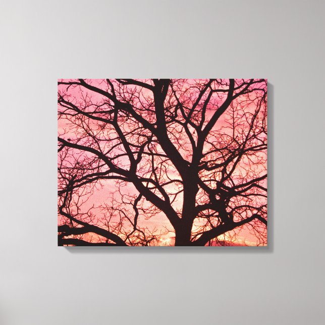 Evening Blush Tree Silhouette Canvas Print (Front)