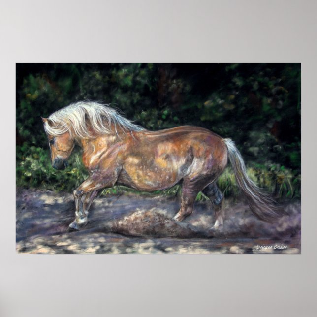 Evening breeze poster (Front)