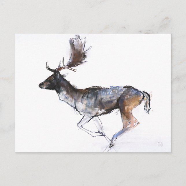 Evening Buck Postcard (Front)