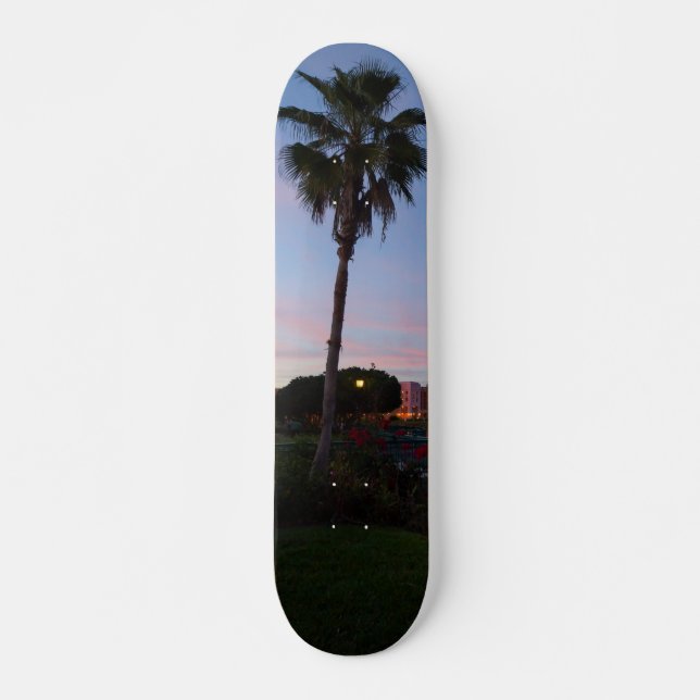 Evening By The Palm Tree Skateboard (Front)