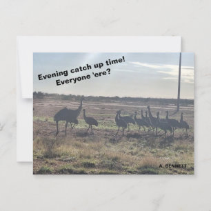 Evening catch up time postcard