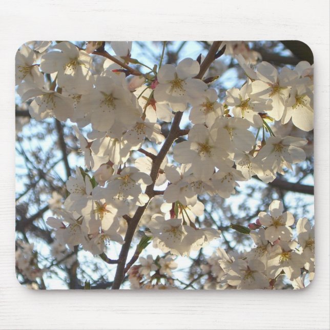 Evening Cherry Blossoms I Spring Floral Mouse Pad (Front)