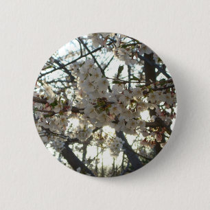 Evening Cherry Blossoms II Spring Sunset 6 Cm Round Badge