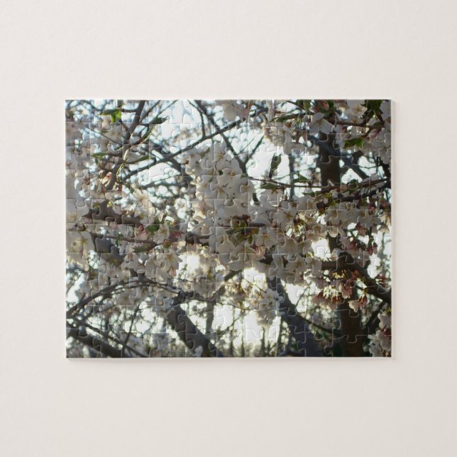 Evening Cherry Blossoms II Spring Sunset Jigsaw Puzzle (Horizontal)