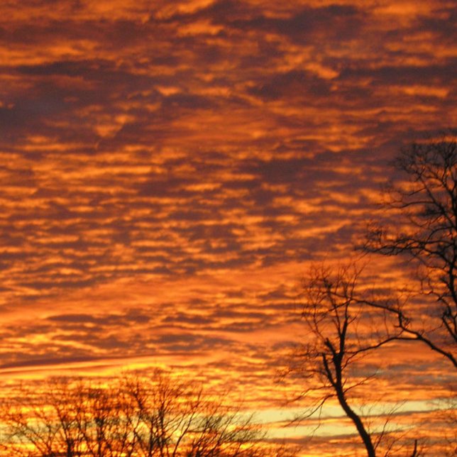 Evening Dream Notebook (Creator Uploaded)