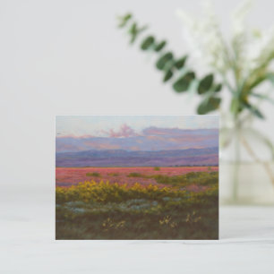 Evening Fiesta Christmas Holiday Postcards